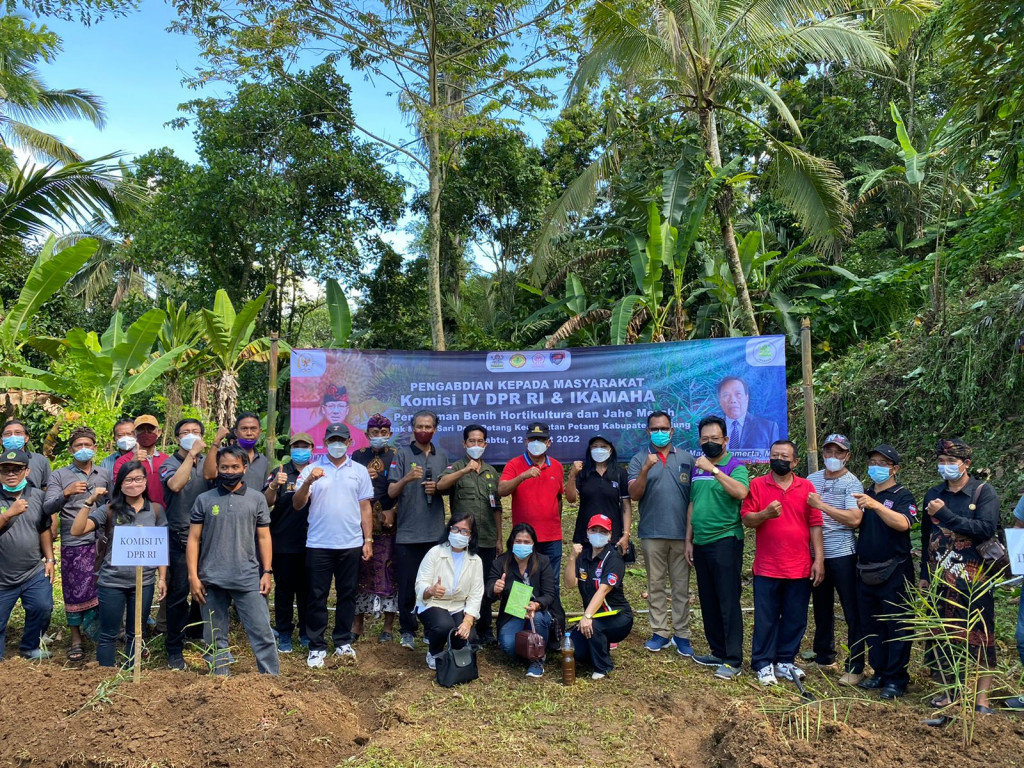 IKAMAHA (Ikatan Alumni Universitas Mahasaraswati) Mengadakan Kegiatan Pengabdian Kepada Masyarakat Berupa Penanaman Bibit Pohon,di Br Lipah